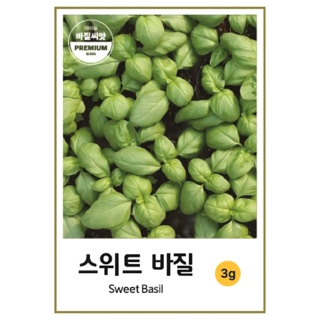 허브씨앗 스위트 바질씨앗 바실 (2000립) Sweet Basil 바질키우기, 1개
