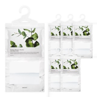 에이센트 향기나는 퍼퓸 옷걸이형 대용량 제습제 그린에어리 6개입, 1세트, 150g