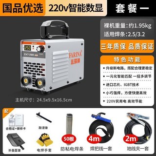 法瑞鈉電焊機 小型家用工業級220v點焊機 多板機 便攜式焊機, 1個, 250標準款（6米線全套接好）