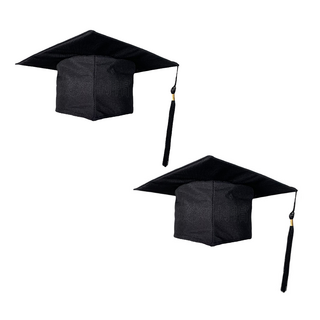 리빙듀오 파티 인형탈 인생네컷 생일 학예회 할로윈, 46.학사모, 2개