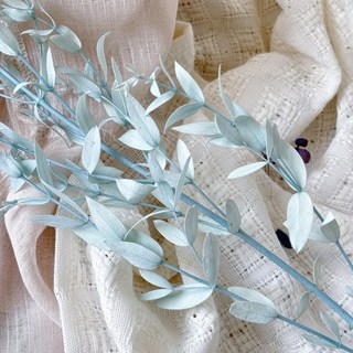 乾燥花尤加利葉 永生尤加利葉 不凋永生葉材 尤加利小尖葉 盆花花材 胸花 擺拍, 夏日藍,單枝/兩枝隨機發