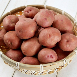 [강력추천]메종드팜 포슬포슬 카스테라 국내산 홍감자, 1박스, 대5kg