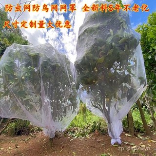 臺灣熱賣18H【1.5萬人好評】加厚防蟲網罩 櫻桃楊梅藍莓蓮霧果樹防鳥罩 全罩防蚊蠅網袋 透氣透光, 底部不帶縮口繩子,口袋型2米寬3米高