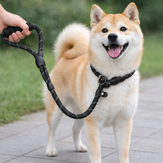 아미펫 강아지 컬러로프 일체형 목줄 리드줄, 블랙, 1개