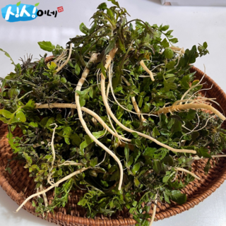 제철 봄나물 해풍 국내산 산지직송 세척 냉이, 1개, 4kg