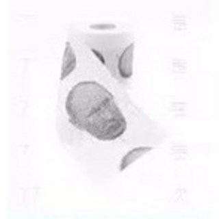 無用良品 川普面紙 學霸面紙 數獨面紙 英文面紙 迷宮面紙 捲筒衛生紙 趣味衛生紙 地獄禮物 生日禮物 英文單字 交換禮物, 1個, 普丁
