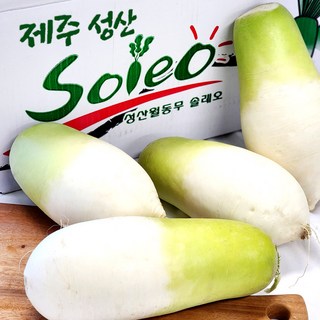 달큰한 제주 울팜 세척 월동무 겨울무 2kg 4kg 8kg 김장무 동치미무, 1개, 월동무 2kg