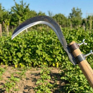 아띠꼴로 고지낫 장대낫 조선낫 농사낫 벌초낫 나무 가지치기낫, 1개