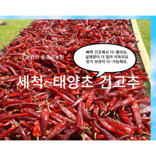 2025년산 햇 태양초 건고추 세척청결 건고추, 1개, 3근(1,5kg), (특)세척태양초고추(꼭지땃음)