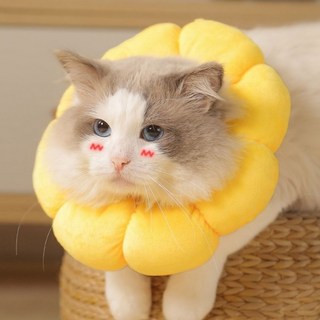 (Rev몰) 고양이 넥카라 강아지 깔대기 쿠션 목보호대 노랑 L, 1개