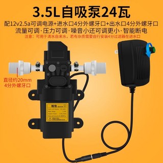 12V 加壓泵浦 自吸泵浦 純水機電機 農村淨水器 抽水隔膜水泵 2分3分增壓泵浦 台灣出貨, 1個, 可調電源+24w泵4分外螺牙口