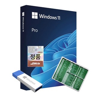 한국정품인증점 MS 윈도우 11 프로 Windows Pro FPP 영구사용 USB설치 제품키 + 엑셀 단축키 마우스패드, 단품