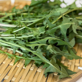 파미쉬 당일채취 국산 생 민들레잎 햇민들레 제철나물, 1개, 200g