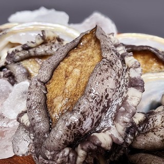 바다농장 완도 활 전복 산지직송, 1개, 1kg(특대 8~9미)