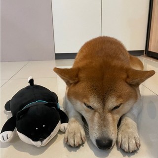 MIND WAVE 黑柴犬 絨毛玩具 交換禮物, 1個