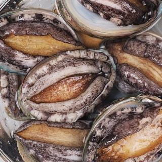 [산지직송]특대 완도 활전복 1kg(12-13미) 산소포장, 1개