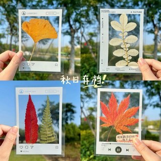 簡約塑封DIY透明標本創意自制相框壓花植物春天DIY書籤禮品, 1個, 2025年新款【相框書籤】把美好永久保存,超值推薦：【60張三套】收藏秋天