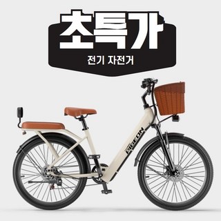 플로우윈 라탄 감성 고속 모터 전기 자전거, 화이트+브라운, 강철