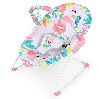 Bright Starts 火鶴鳥印花搖籃床, 混色