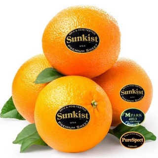 오렌지 중소과, 1개, 3kg(20개입)