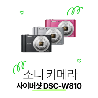 소니 사이버샷 DSC-W810 업무용 현장용 작업용 카메라 메모리패키지, 4GB 메모리+케이스+리더기
