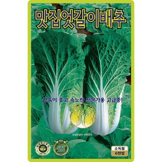 산들마켓 맛집엇갈이 배추 씨앗 6000립 생육이 좋고 속노란 상품성이 좋은 국내산 고급 품종, 3개