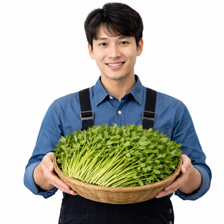 (품질보장) 일등농수산 무등산 정품 돌미나리, 1개, 1kg