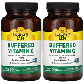 컨트리라이프 완충형 비타민C 500mg 250정, 2개