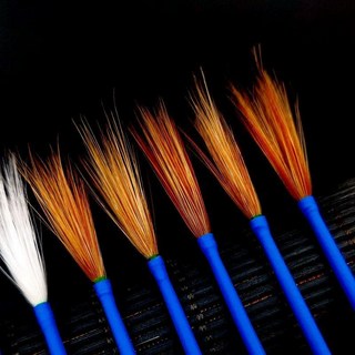 귀관리 붓 귀세정 귀청소 솜뭉치 귀이개, 판룡 은침 닭털 봉 5개 수납함 포함, 1개, 1L