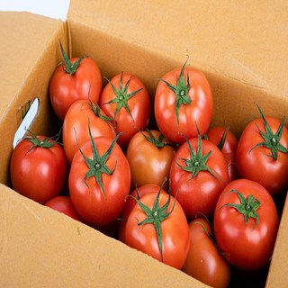 자연이 키운 국내산 완숙 찰토마토 1kg 2kg 3kg 5kg (M~2S과), 1개, 1kg(M~2S과)