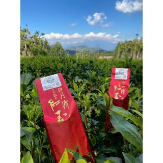 日月潭紅茶 台灣紅茶 紅玉紅茶, 1個, 茶葉