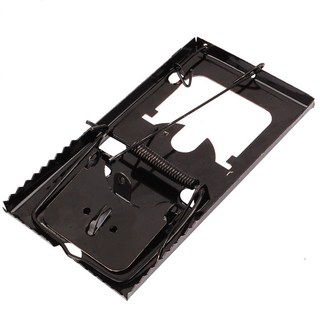 대길 국산 쥐덫 두더지덫 본드 망쥐덫 쥐약 쥐틀 살충제 제거 끈끈이, 옵션01 쥐덫-보급형 2개 세트, 옵션01 쥐덫-보급형 2개 세트, 1개입