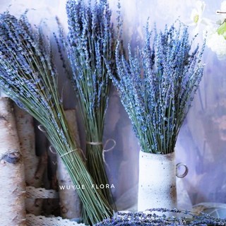 特價秒殺 薰衣草乾花束 天然植物原料 客廳擺飾裝飾 新疆伊犁直送 居家香氛 乾燥花藝 浪漫氛圍佈置, 1個, 薰衣草幹花束100剋