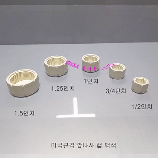 abk 미국 규격 암나사 캡 백색 (1.5인치 1.25인치 1인치 3/4인치 1/2인치) 뚜겅 마개, 1개