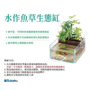 SUISAKU 水作 魚草生態缸 魚缸/玻璃缸/平面缸/方缸 F-1146, 1個
