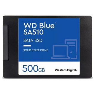Western Digital 威騰 SA510 SATA固態硬碟 藍色, WDS100T3B0A, 500GB