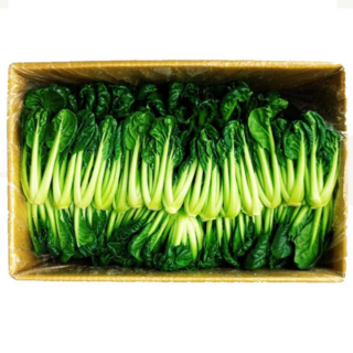 비타민 2kg/박스 업소용 식당용 쌈 야채, 2kg, 1박스