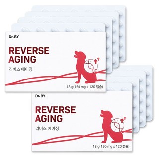 닥터바이 리버스에이징 강아지 항산화제 항산화 노견 영양제 노화 방지, 2세트, 면역/항산화, 120정