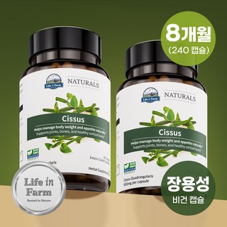 라이프인팜 시서스 100배농축 추출물 장용성 240비건캡슐 8개월분 시서스알약 가루, 2개, 120정