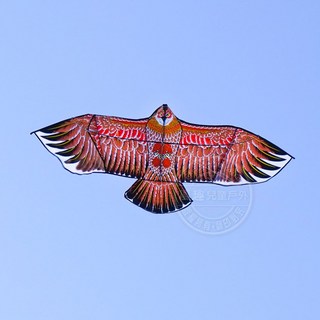 大老鷹造型風箏(1.7米前桿式)(全配/附150米輪盤線) 動物風箏 可愛風箏 兒童風箏, 1個, 全配組(附輪盤集線器+150米線),灰棕色