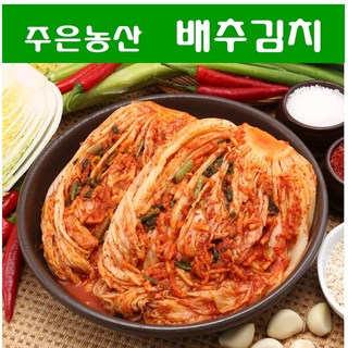 가락시장 김치전문점 주은농산 업소용 2020년 김치품평회 대상을 수상한 회사에서 만든 주은농산 CJ이츠웰 포기김치 (무료배송 국내제조) 10kg, 배추김치 10kg+아이스박스 포장, 1개