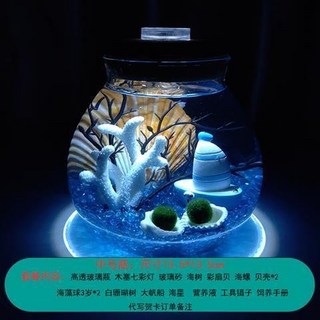 海藻球水培植物微景觀生態瓶苔蘚盆栽玻璃瓶 (包郵), 中號 白珊大帆3歲2顆, 1個