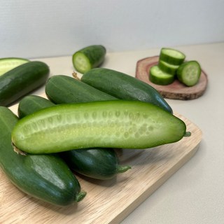 수분가득 국내산 미니오이 아삭하고 가시없는 미니스탑