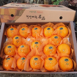 명절선물세트 [특가2026년 설선물] 초고당도 제주도 레드향, 1세트, 3kg (특상)