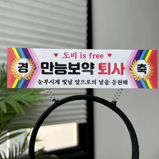 써봄 승진 퇴사 퇴임 퇴직 현수막 머리띠토퍼, 2.만능보약 퇴사, 1개