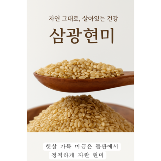 [25년산] 삼광 현미 10kg 국내산 단일품종(GAP인증시설 도정)세종라이스 정미소김씨, 1개