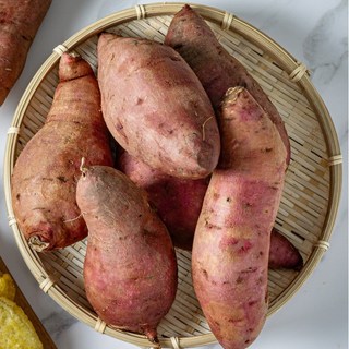 해남 맛장인 꿀고구마, 1박스, 10kg 대