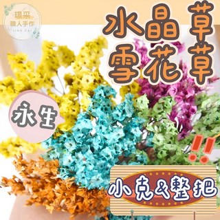 【璟采職人】永生水晶花 水晶草 水晶花 雪花草 花材 浮游花 乾燥花 不凋花 永生花 仿真花 乾燥花花材 捧花 拍照道具, 綠桿粉花,【5克/束】我已閱內文1至6點且表同意