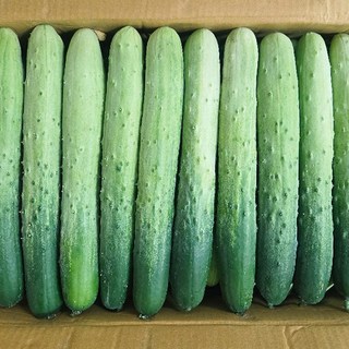 국내산 백오이 아삭하고 맛있는 특품오이, 1개, 1kg(5개~7개)