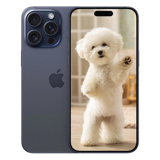 i폰15 Pro Max 미개봉 새상품, 256GB, 옵션명 아이폰 블루티타늄